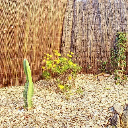 Appartement A1 La D'or Le Lavandou